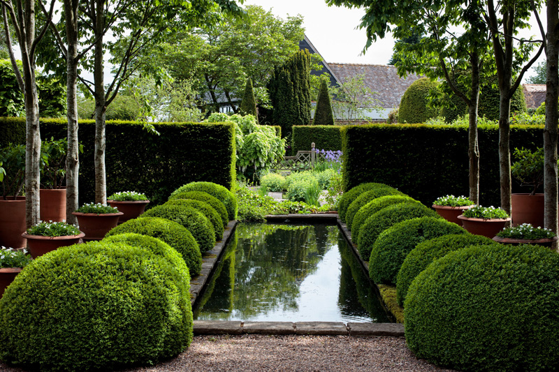 Formal garden