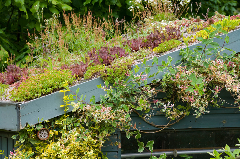 Green roof
