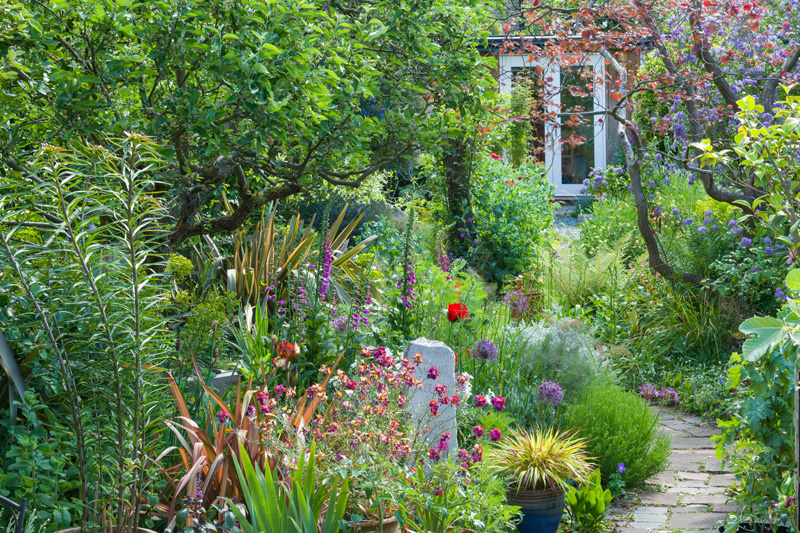 Forest garden