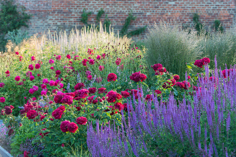 English garden