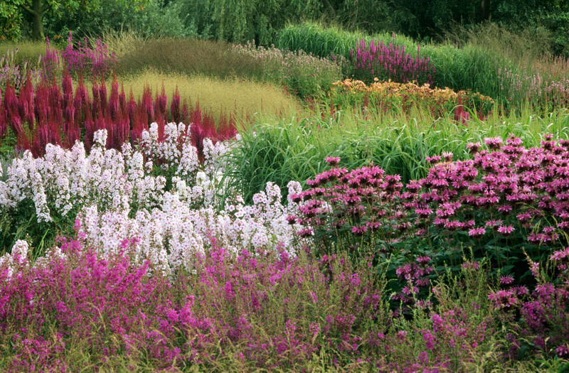 Prairie garden