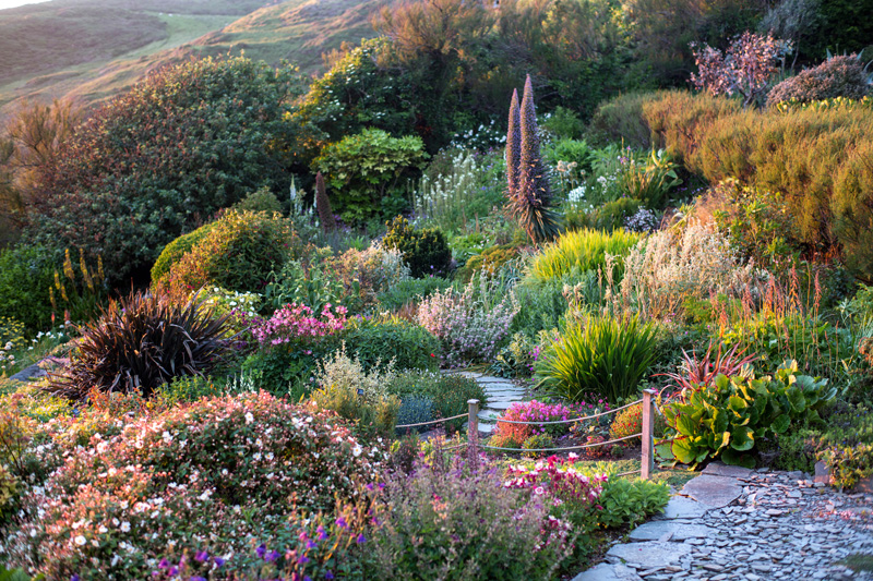 Coastal garden